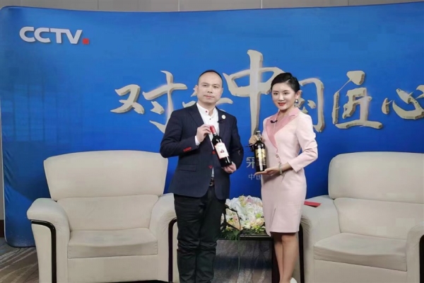 伊人网在线视频观看招商策划怎么做吸引人
